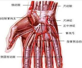 說明: u=3179600635,270272278&fm=26&gp=0